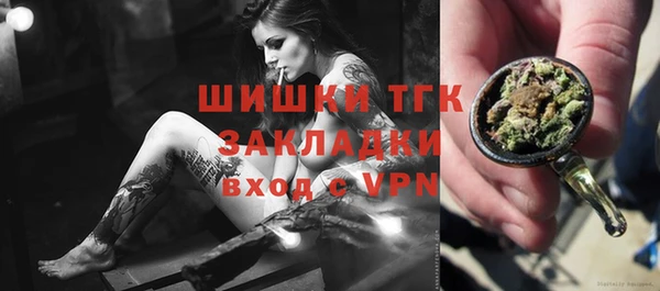 индика Нефтекумск