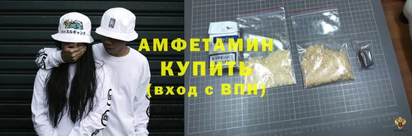 сатива Анжеро-Судженск