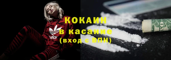 индика Нефтекумск