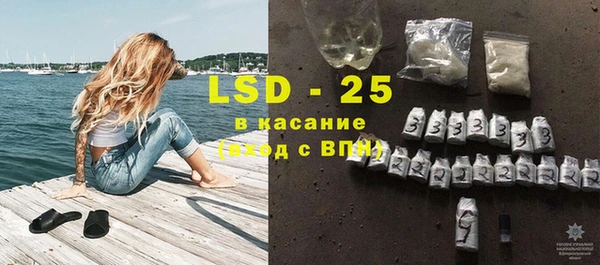 индика Абаза