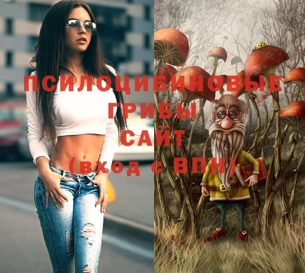 хмурый Абдулино