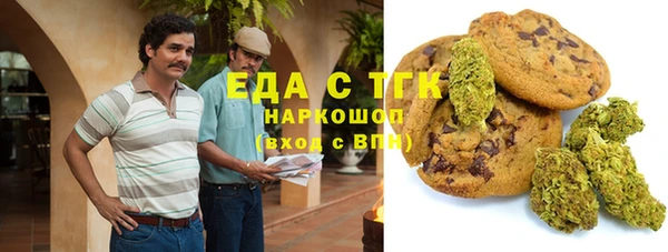 индика Абаза
