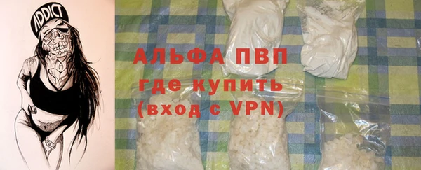 индика Абаза