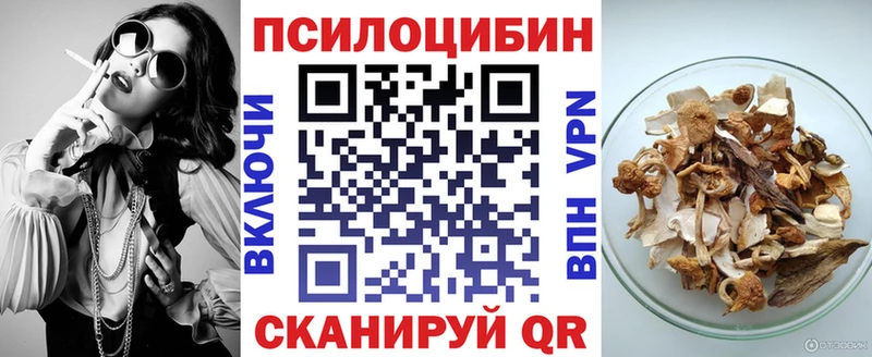 гидра ссылки  Торопец  Галлюциногенные грибы Magic Shrooms  сколько стоит 