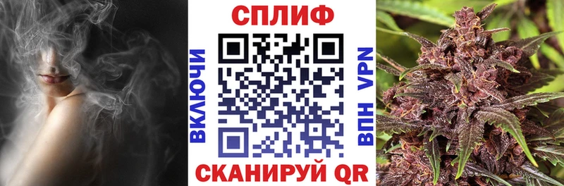 мега ссылки  Торопец  Каннабис OG Kush 